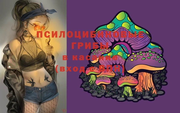 спайс Белокуриха